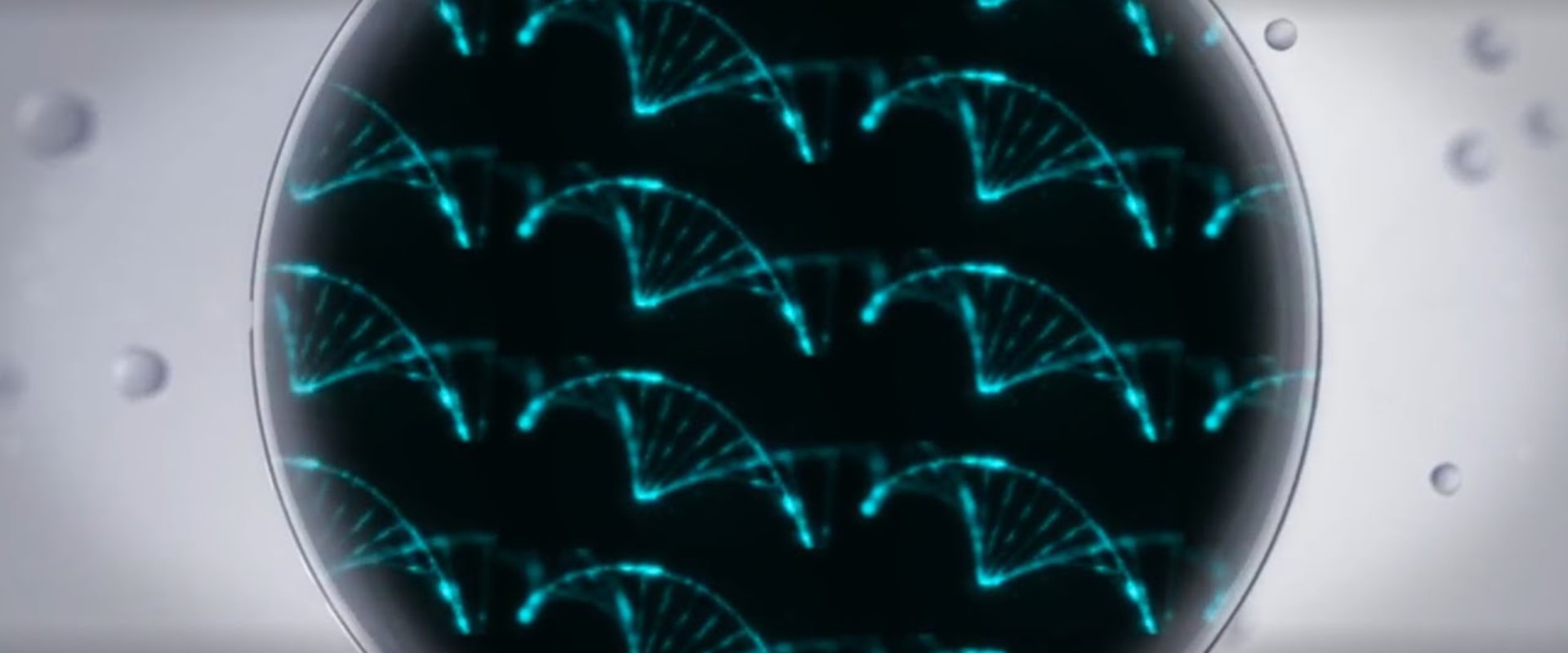 Uncovering Age-Related Gene Changes