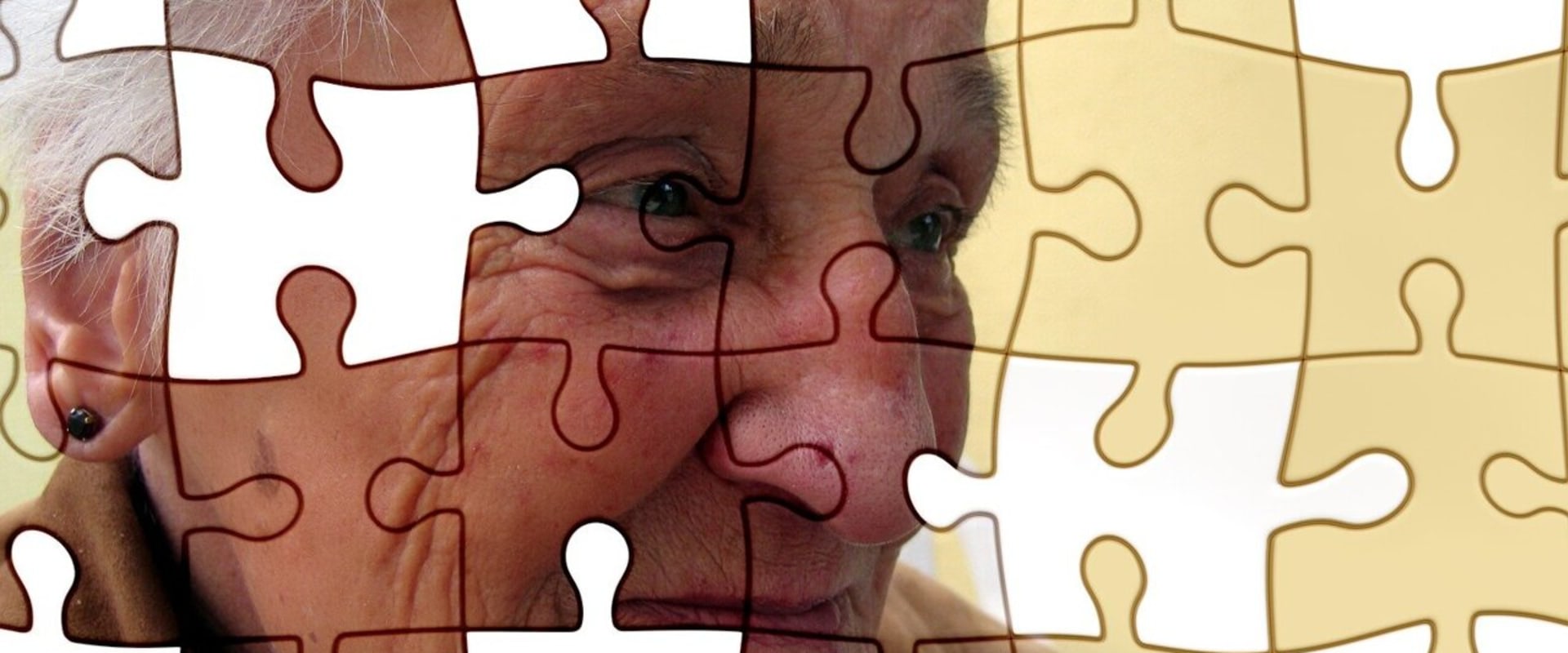 Exploring the Link Between Family History and Alzheimer's Disease