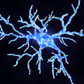 Exploring Genetic Mutations and Their Role in Alzheimer's Disease