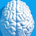 Exercise for Alzheimer's: A Comprehensive Overview